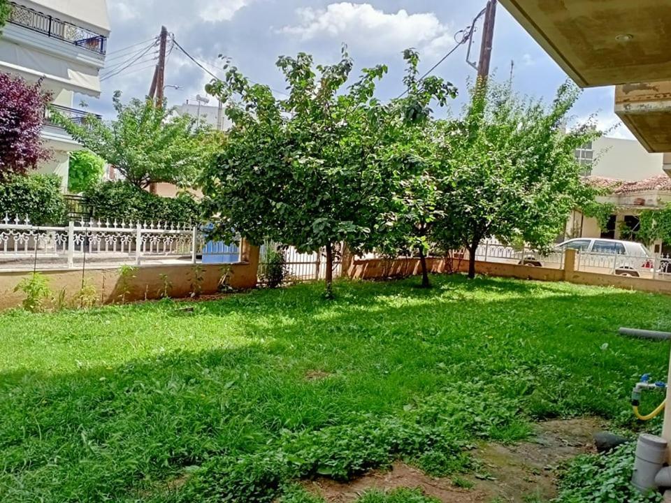 Lux Studio Apartment Alexandrópolis Exterior foto
